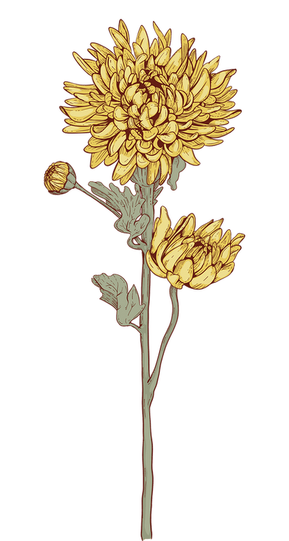 Extras Birth Flower Family Bouquet production fee
