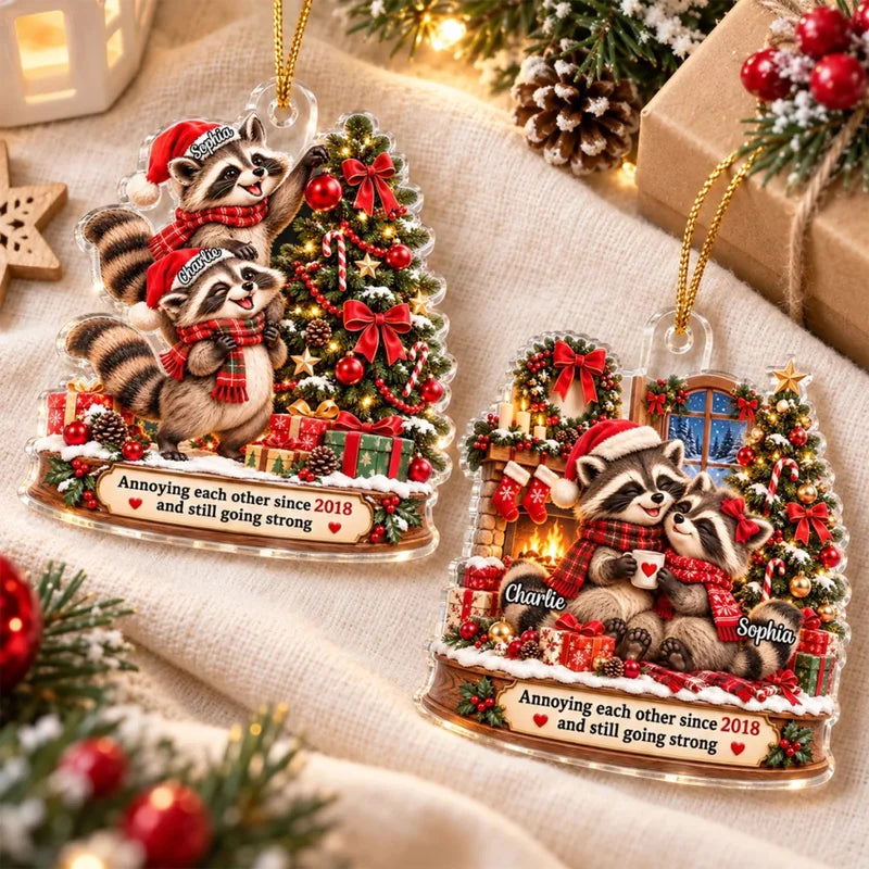 Raccoon Couple Annoying Each Other - Personalized Acrylic Ornament - Funny Christmas Gift for Him, f