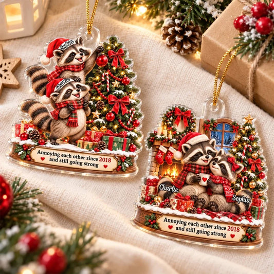 Raccoon Couple Annoying Each Other - Personalized Acrylic Ornament - Funny Christmas Gift for Him, f