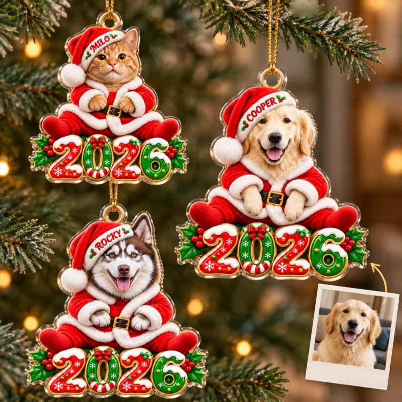 Personalized Pet Photo Santa Christmas Keepsake Acrylic Ornament