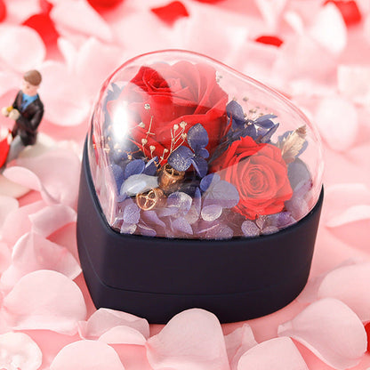 Giftbox / Premium