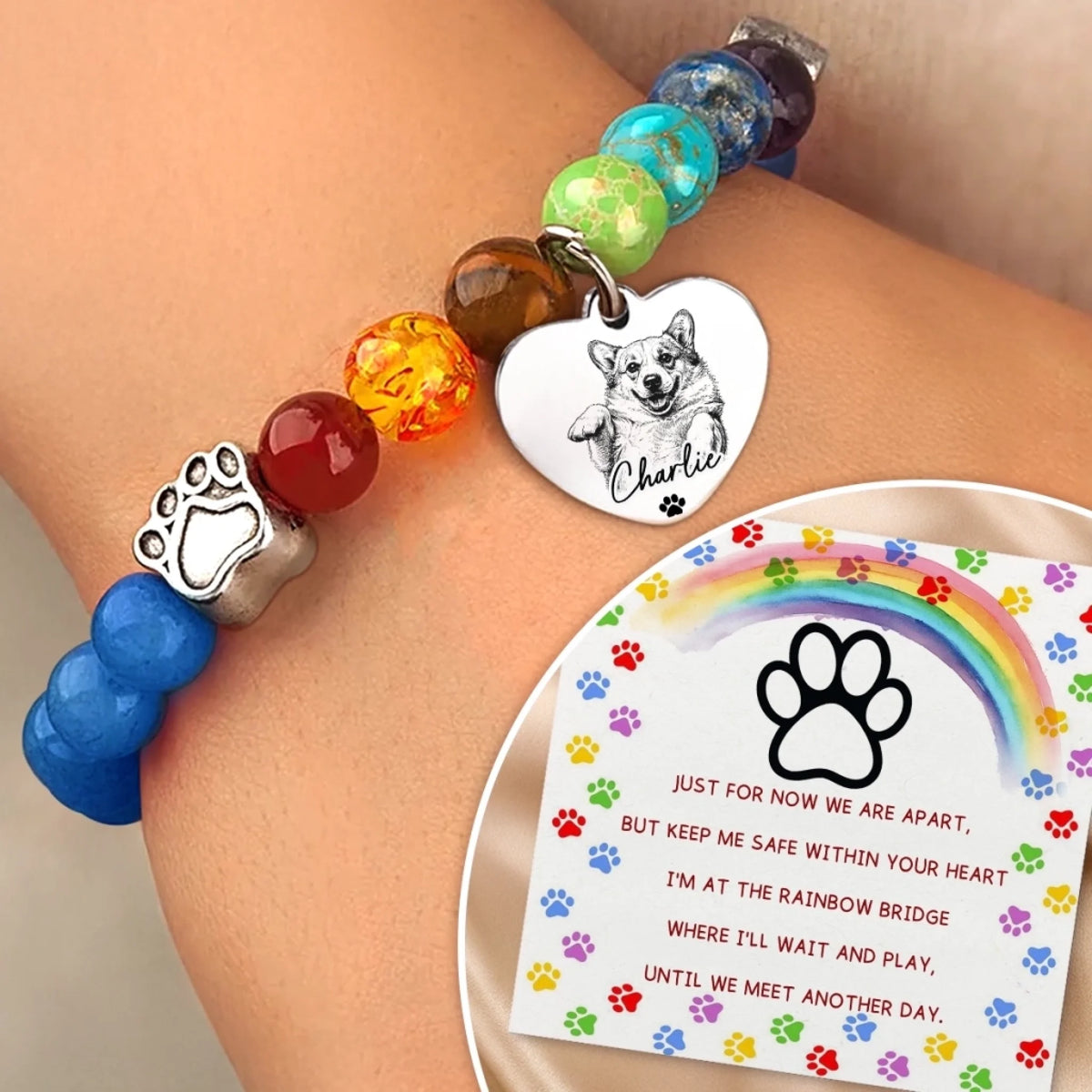 RBB-YL0501_thumb-2