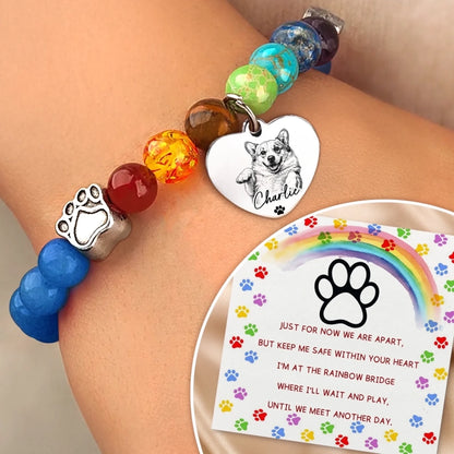 RBB-YL0501_thumb-2