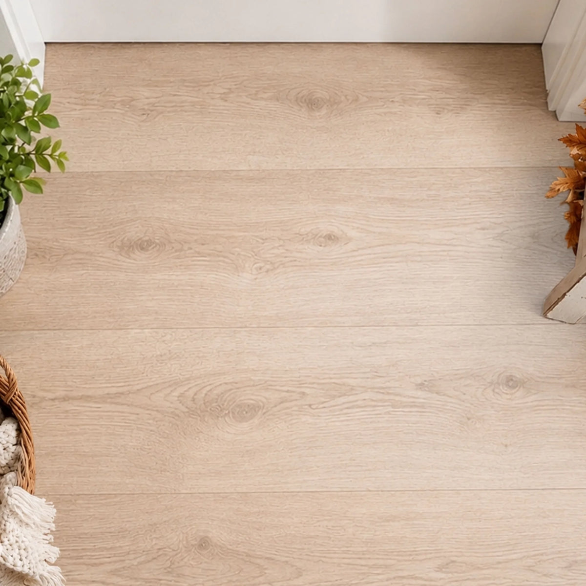 aeMft0QDr