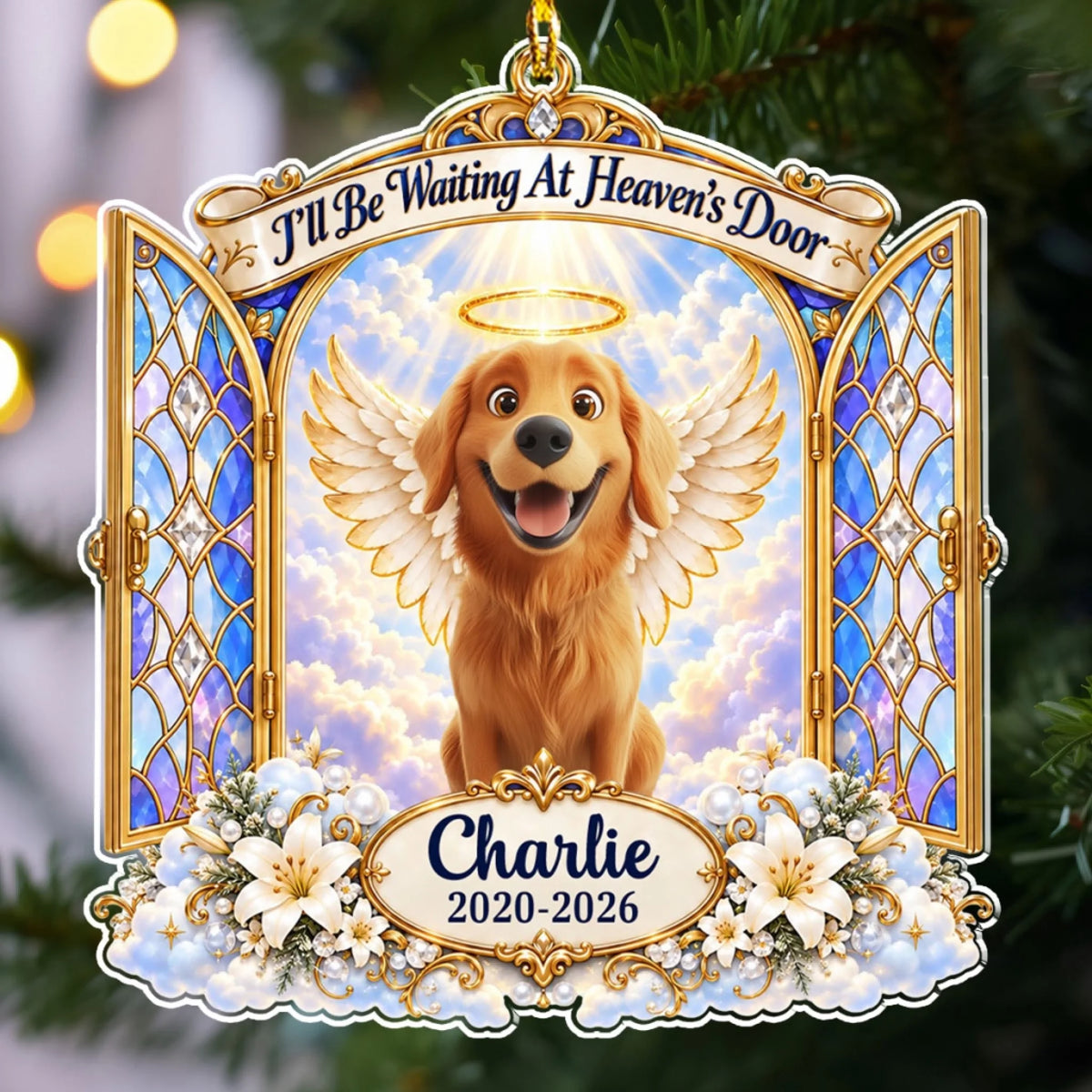 pml5lNbNZ