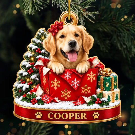 Personalized Pet Portrait Christmas Acrylic Ornament