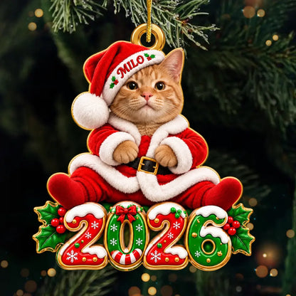 Personalized Pet Photo Santa Christmas Keepsake Acrylic Ornament