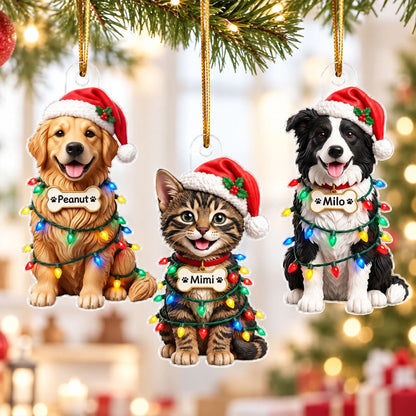 Ka1r6WZEV