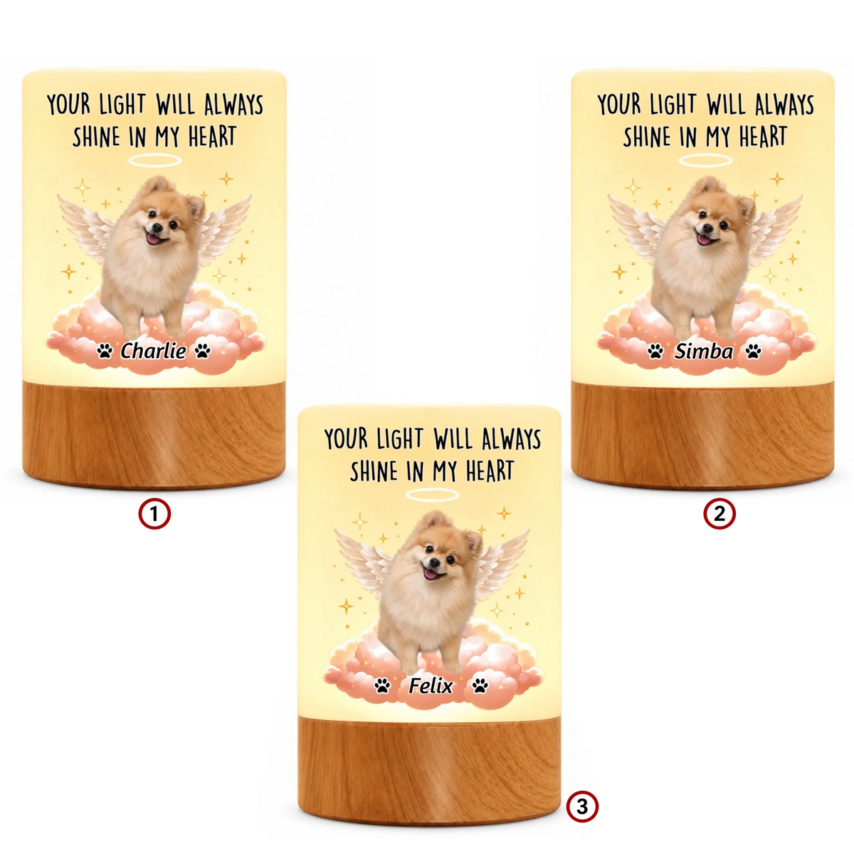 pack-10