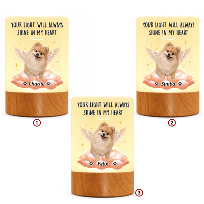 pack-10