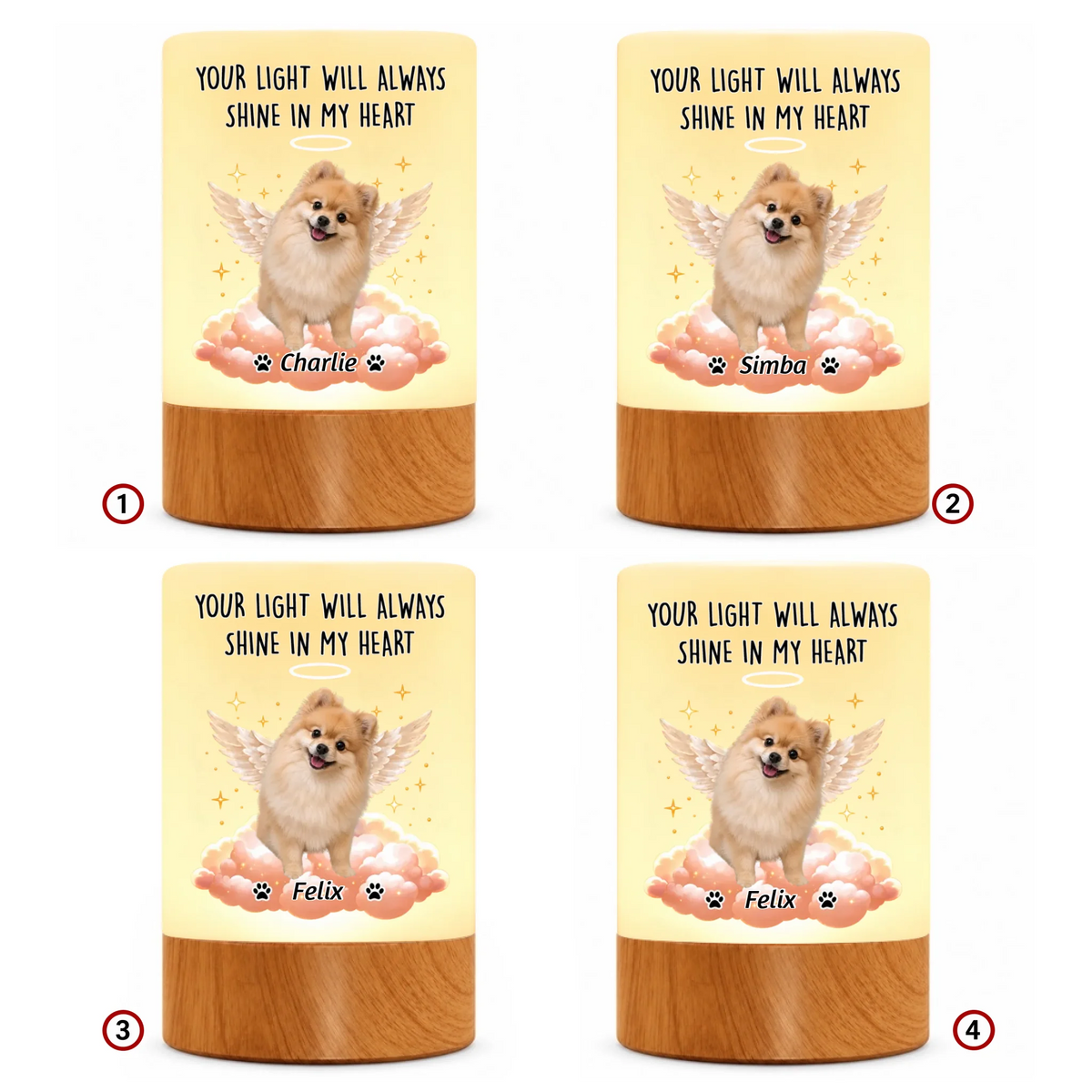 pack-10