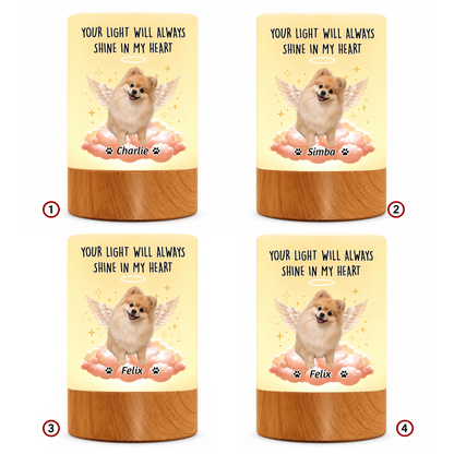 pack-10
