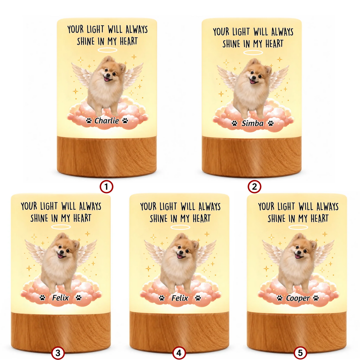 pack-10