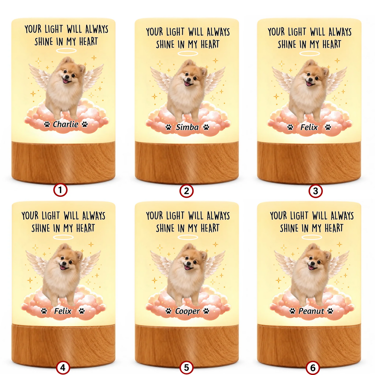 pack-10