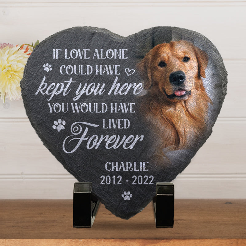 Personalized You Would Have Lived Forever Memorial Stone