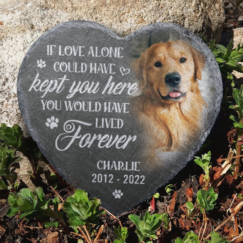 Personalized You Would Have Lived Forever Memorial Stone