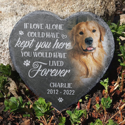 Personalized You Would Have Lived Forever Memorial Stone