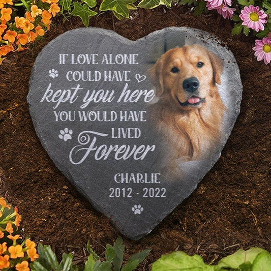 Personalized You Would Have Lived Forever Memorial Stone