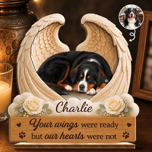 SWS-HA7001_thumb-1