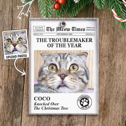 Personalized Troublemaker of the Year Acrylic Ornament