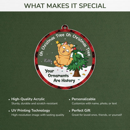 "Your Ornaments Are History" Personalized Cat Acrylic Ornament - Christmas Gift for Cat Lovers