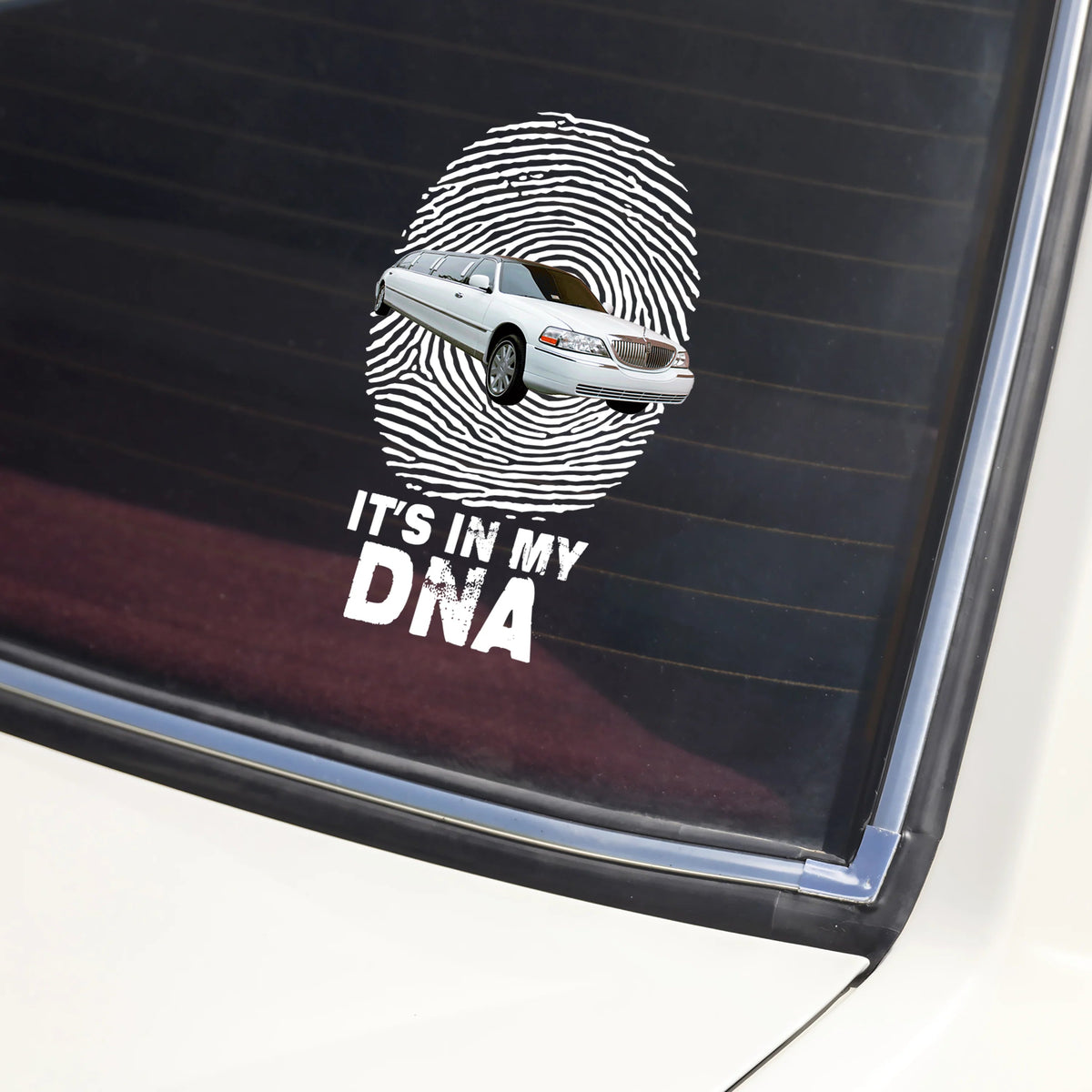 Personalized DNA Photo Car Window Decal