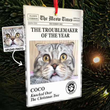 Personalized Troublemaker of the Year Acrylic Ornament