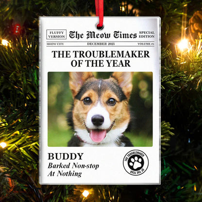 Personalized Troublemaker of the Year Acrylic Ornament