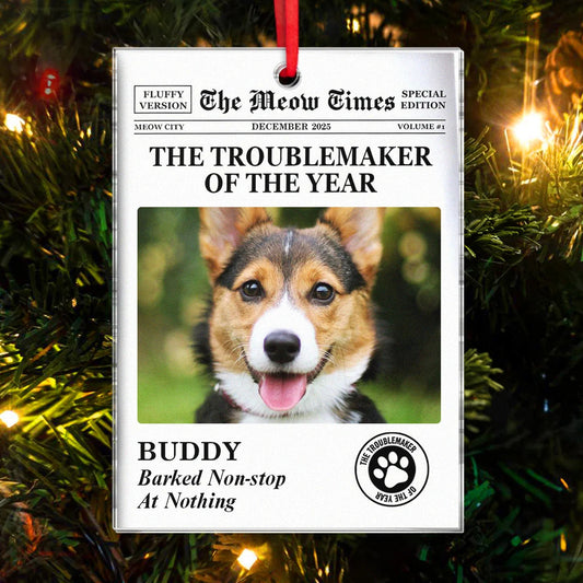 Personalized Troublemaker of the Year Acrylic Ornament