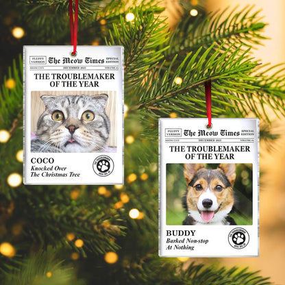 Personalized Troublemaker of the Year Acrylic Ornament